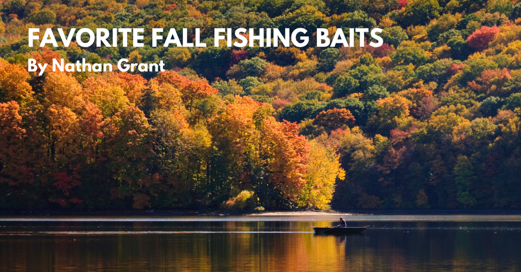 Favorite Fall Fishing Baits