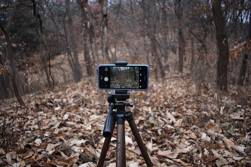 Tips for growing your social media following as a Pro Staff and Field Connect Outdoors